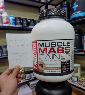 مس گینر لابرادا ماسل مس اصل تضمینی....
